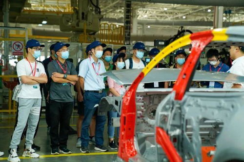 探訪完肇慶工廠，小鵬和特斯拉、蔚來(lái)、理想的車主怎么看P7？——申夢(mèng)汽車視角